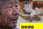 恶搞网红大爷货物滞销生成图片