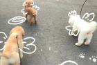 无关风月的微信个性签名 鲜活好听的签名短句