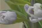 最具独特微信签名大全 简简单单好体的签名