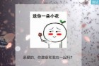 iapp源码我爱你表白可以修改